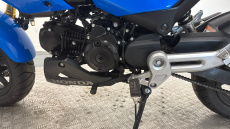 Honda Grom MSX125 (24YM)